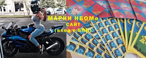 индика Новодвинск