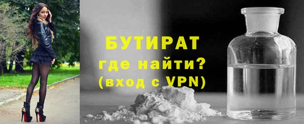 индика Новодвинск
