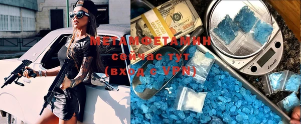 индика Новодвинск