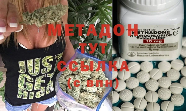 индика Новодвинск