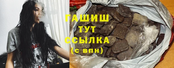 индика Новодвинск