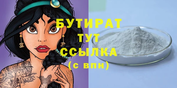 индика Новодвинск