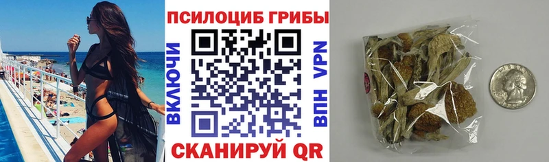 Псилоцибиновые грибы ЛСД  где купить наркоту  Власиха 