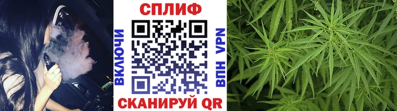 где найти наркотики  Власиха  Бошки Шишки Amnesia 